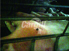 無風無水_原照-01